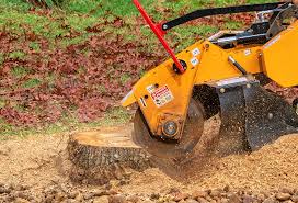 Best Tree Maintenance Programs  in Bensley, VA