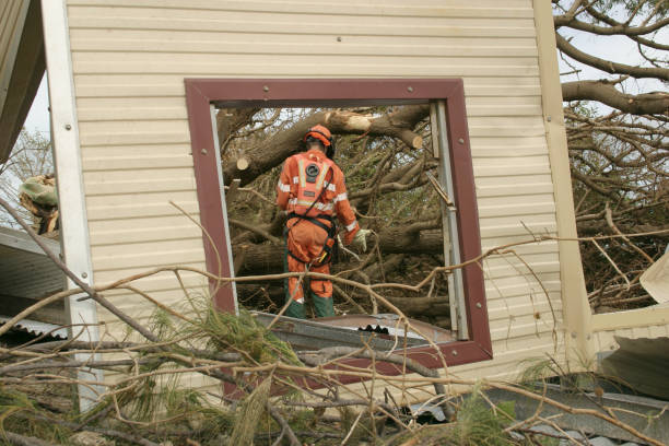 Best Tree Removal  in Bensley, VA